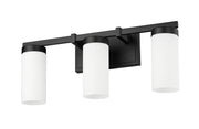 Danica 3 Light 20.5" Vanity in Matte Black