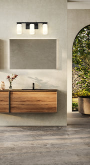 Danica 3 Light 20.5" Vanity in Matte Black in a room setting