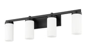 Danica 4 Light 29.5" Vanity in Matte Black