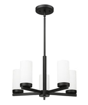 Danica 5 Light 19.5" Chandelier in Matte Black