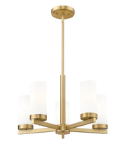 Danica 5 Light 19.5" Chandelier in Modern Gold