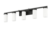Danica 5 Light 38.75" Vanity in Matte Black