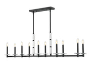 Kaden 10 Light 56" Linear Pendant in Matte Black
