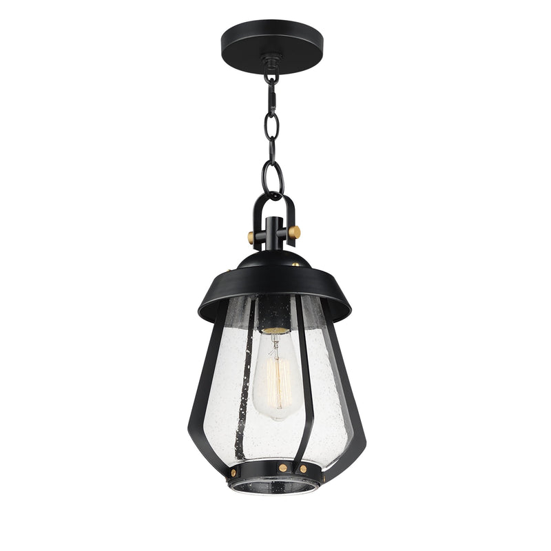 Mariner 1 Light Medium Outdoor Pendant in Black / Antique Brass