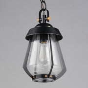 Mariner 1 Light Medium Outdoor Pendant in Black / Antique Brass