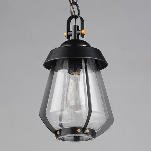 Mariner 1 Light Medium Outdoor Pendant in Black / Antique Brass