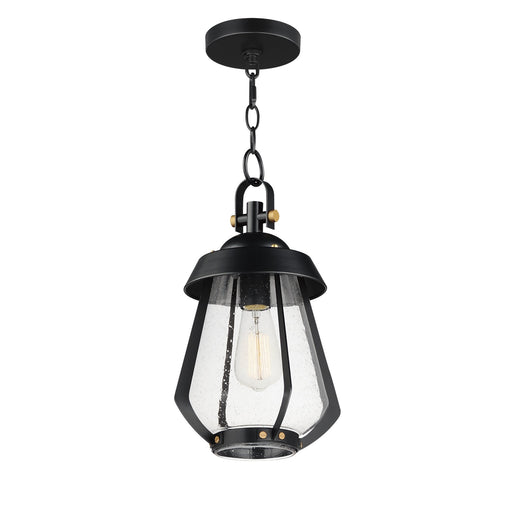 Mariner 1 Light Medium Outdoor Pendant in Black / Antique Brass