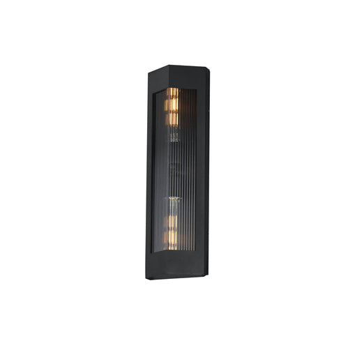 Triform 20" 2 Light Outdoor Wall Sconce in Black / Antique Brass