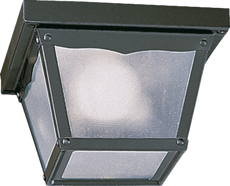7" Cage Ceiling Mount in Black