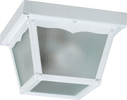 7" Cage Ceiling Mount in White