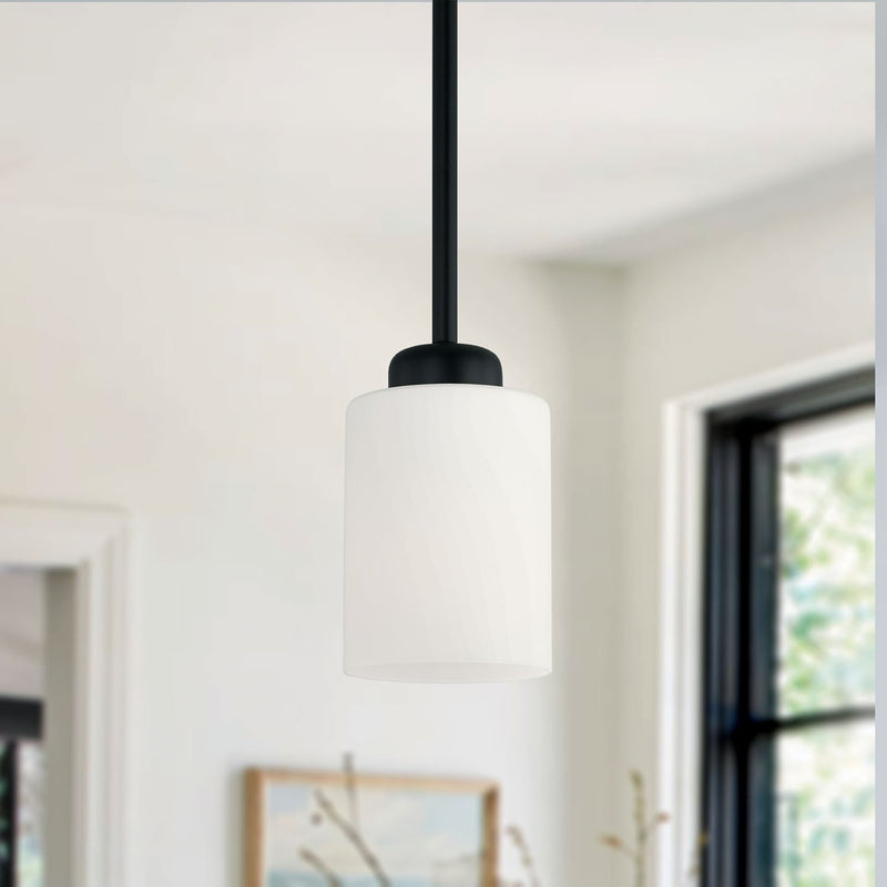 Dixon Mini Pendant in Matte Black