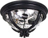 Camden VX Three Light Outdoor Ceiling Mount in Black