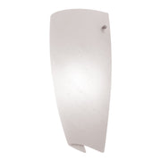 Daphne Wall Sconce in Brushed Steel