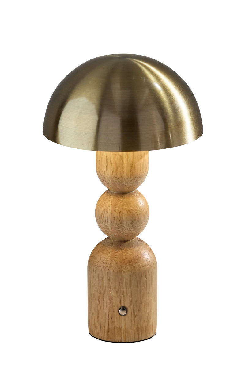 Connie Cordless LED Table Lamp in Natural & Antique Brass