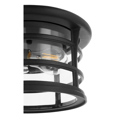 Haley 11" 2 Light Outdoor Ceiling Mount in Textured Black