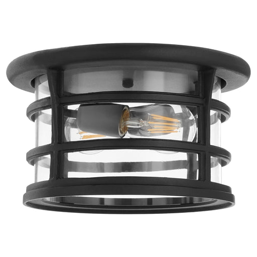 Haley 11" 2 Light Outdoor Ceiling Mount in Textured Black