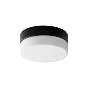 Zuri 7" LED Ceiling Mount in Black