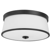 Weir 16" Ceiling Mount in Matte Black