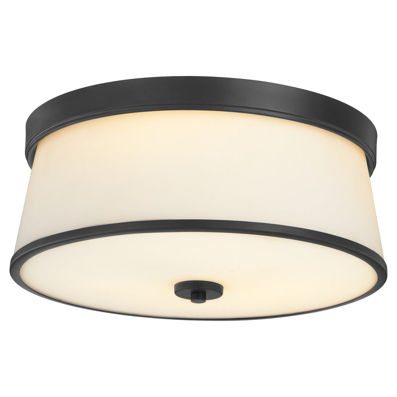 Weir 16" Ceiling Mount in Matte Black
