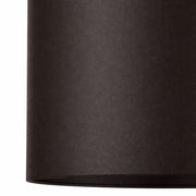 Cannery 2-Light 12" Pendant in Dark Bronze / French Gold
