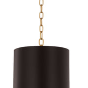 Cannery 3-Light 16" Pendant in Dark Bronze / French Gold