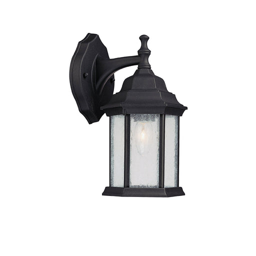 Main Street 1 Light Outdoor Wall Lantern in Black