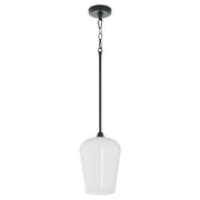 Raymond 1 Light Opal Pendant in Matte Black