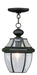 Monterey 1-Light Outdoor Chain Lantern - Lamps Expo