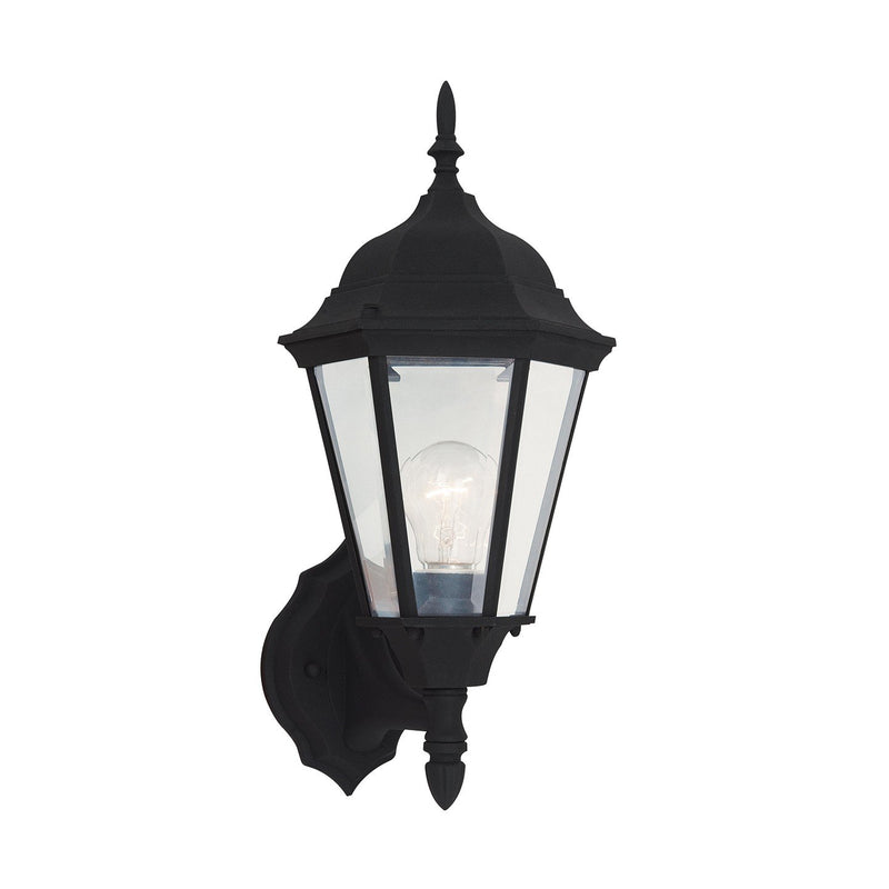 Bakersville 17" Clear Beveled Outdoor Wall Lantern in Black