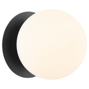 Jasper 1 Light Globe Wall or Ceiling Mount in Matte Black