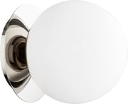 Jasper 1 Light Globe Wall or Ceiling Mount in Polished Nickel