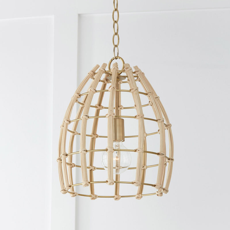 Wren Pendant in Matte Brass