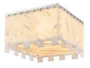 Viviana 6 Light 17.5" Flush Mount in Polished Nickel