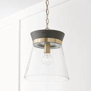 Finn Pendant in Black Stain and Matte Brass
