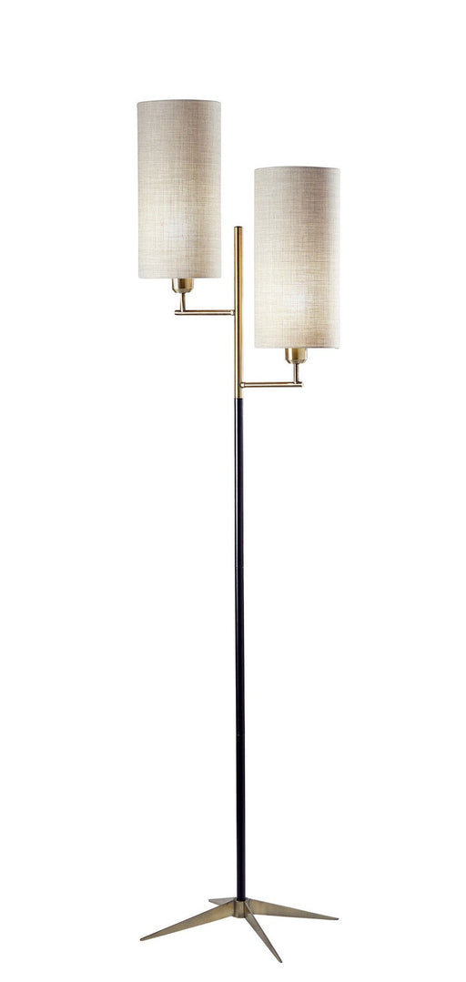 Davis 2-Light Floor Lamp in Matte Black & Antique Brass