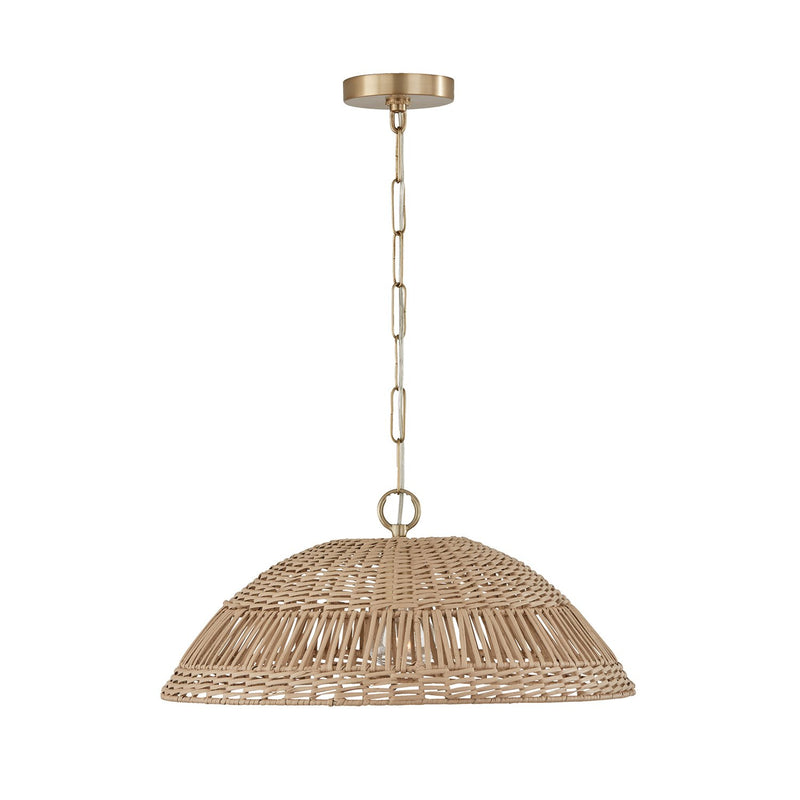 Naomi Large Pendant in Matte Brass