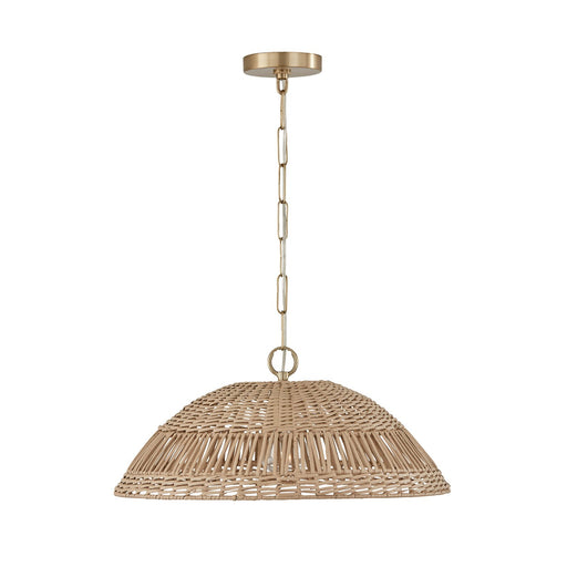 Naomi Large Pendant in Matte Brass