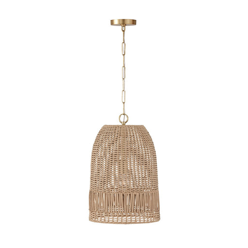 Naomi Small Pendant in Matte Brass