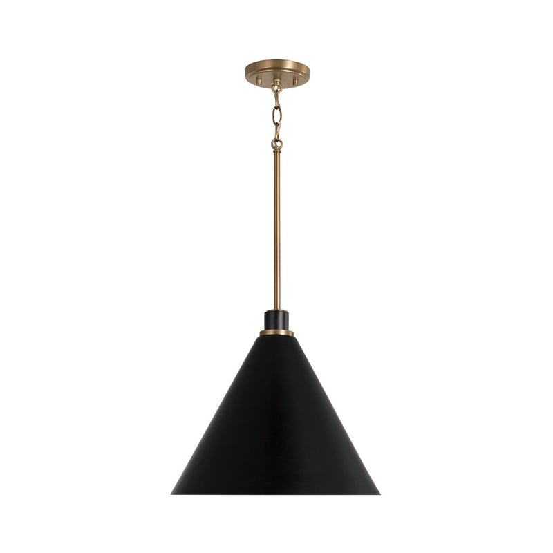 Bradley Pendant in Aged Brass and Black