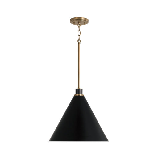 Bradley Pendant in Aged Brass and Black