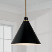 Bradley Pendant in Aged Brass and Black