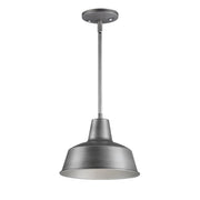 Pier M 10" 1 Light Outdoor Pendant in Weathered Zinc