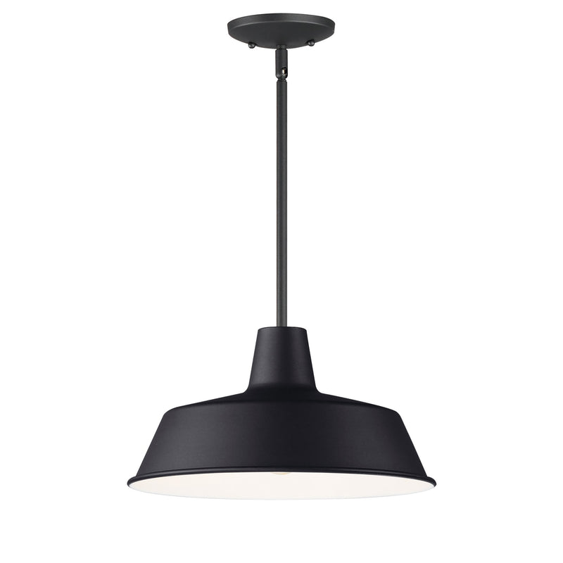Pier M 14" Extra Large Outdoor Pendant in Black