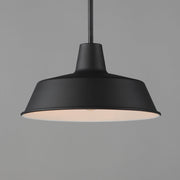 Pier M 14" Extra Large Outdoor Pendant in Black