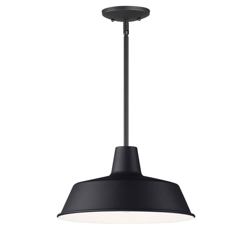 Pier M 14" Extra Large Outdoor Pendant in Black
