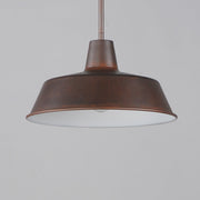 Pier M 14" Extra Large Outdoor Pendant in Empire Bronze