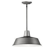 Pier M 14" Extra Large Outdoor Pendant in Weathered Zinc