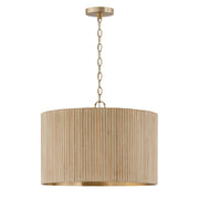 Donovan 3-Light Pendant in White Wash and Matte Brass