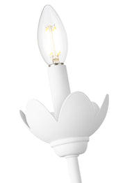 Allistair 1 Light 5.25" Wall Sconce in Tundra White