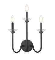 Allistair 3 Light 15" Wall Sconce in Matte Black